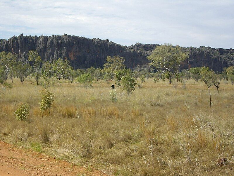 File:Windjana Gorge.jpg