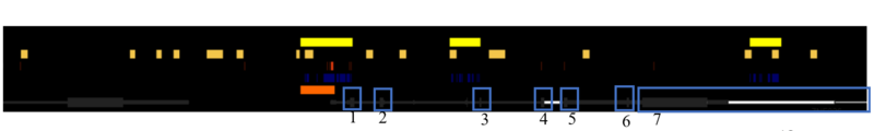 File:ZNF226 Gene.png