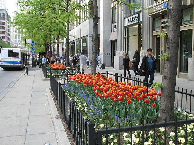 File:20070509 Tulip Days.JPG