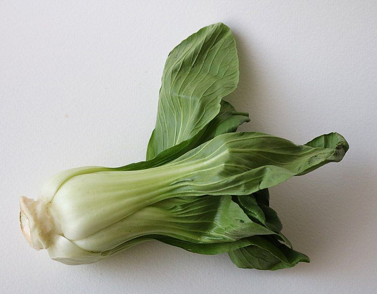 File:Bok choy -1.jpg