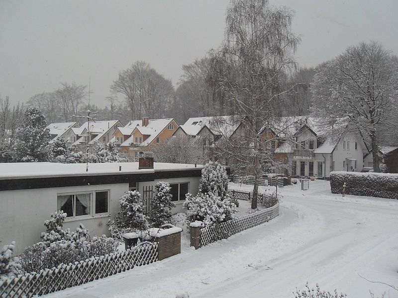 File:Breite Heide Winter.jpg