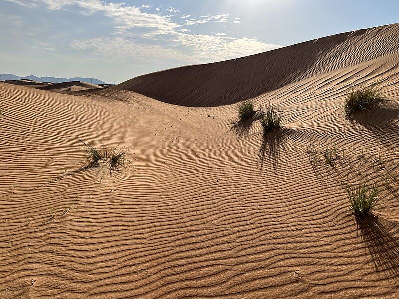 File:Desert view.jpg