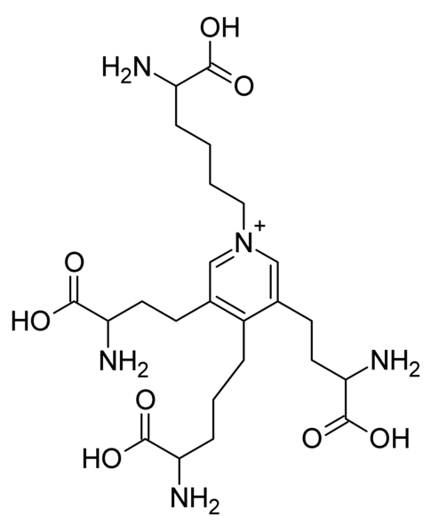 File:Desmosine.PNG