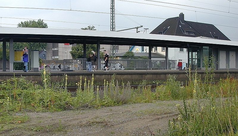 File:Duisburg-Großenbaum01.jpg