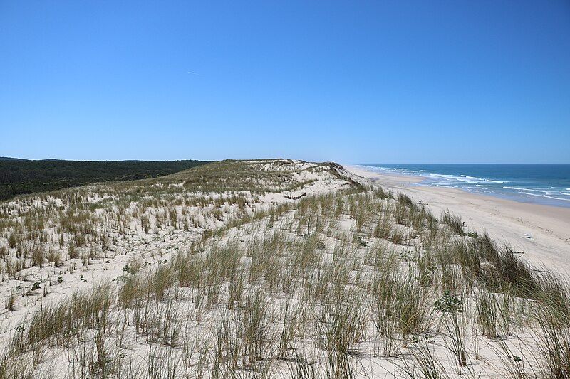 File:Dunes d'Hourtin.jpg