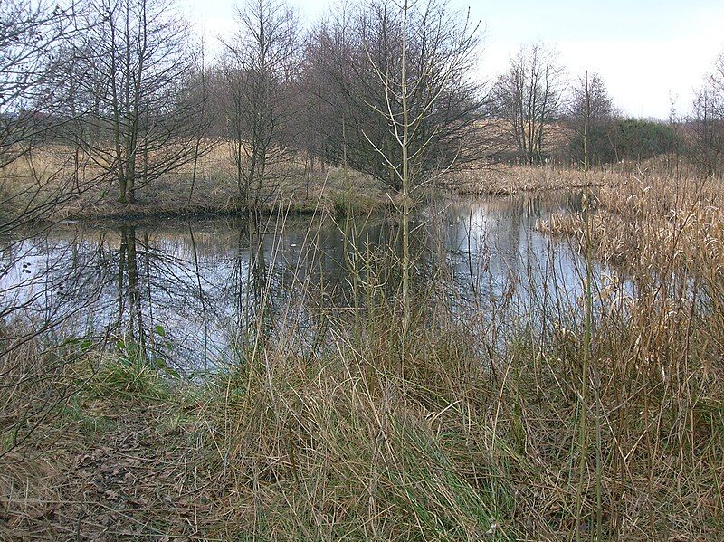 File:Eglinton settling pond.JPG