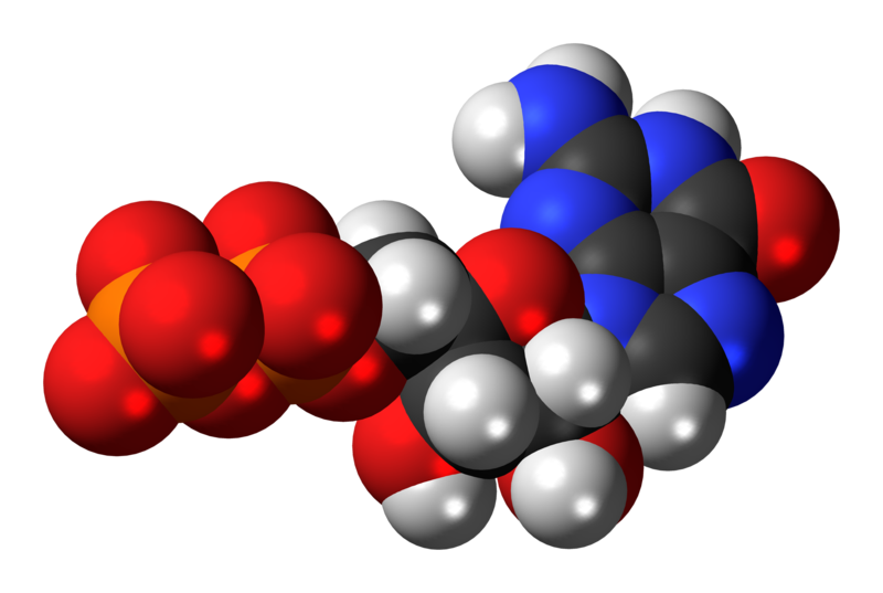 File:Guanosine-diphosphate-anion-3D-spacefill.png