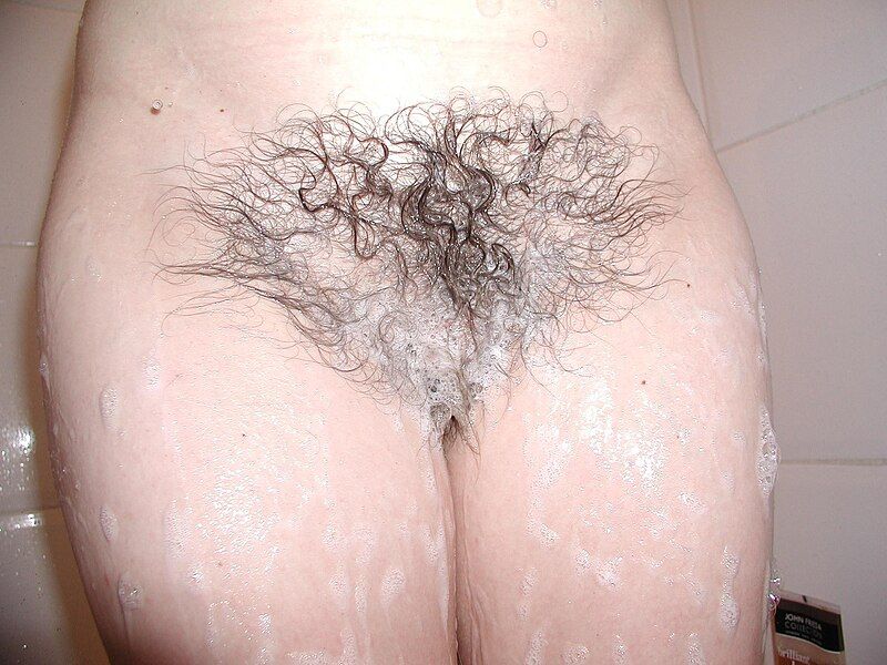 File:Hairy bush wife.jpg