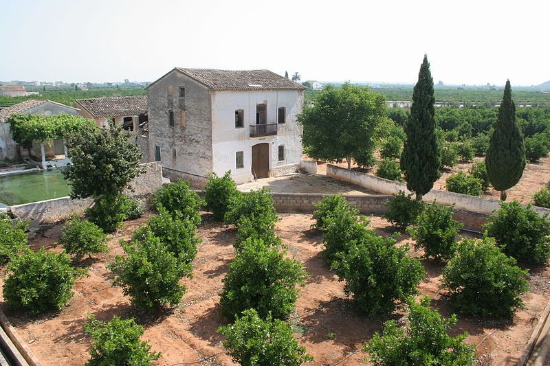 File:Huerto Valenciano.JPG