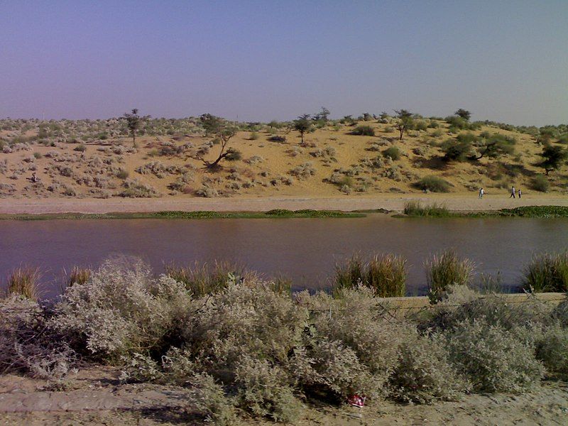 File:Indira Gandhi Canal.jpg