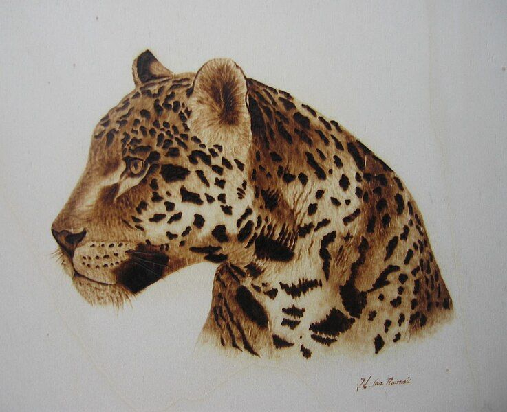 File:Leopardo.jpg