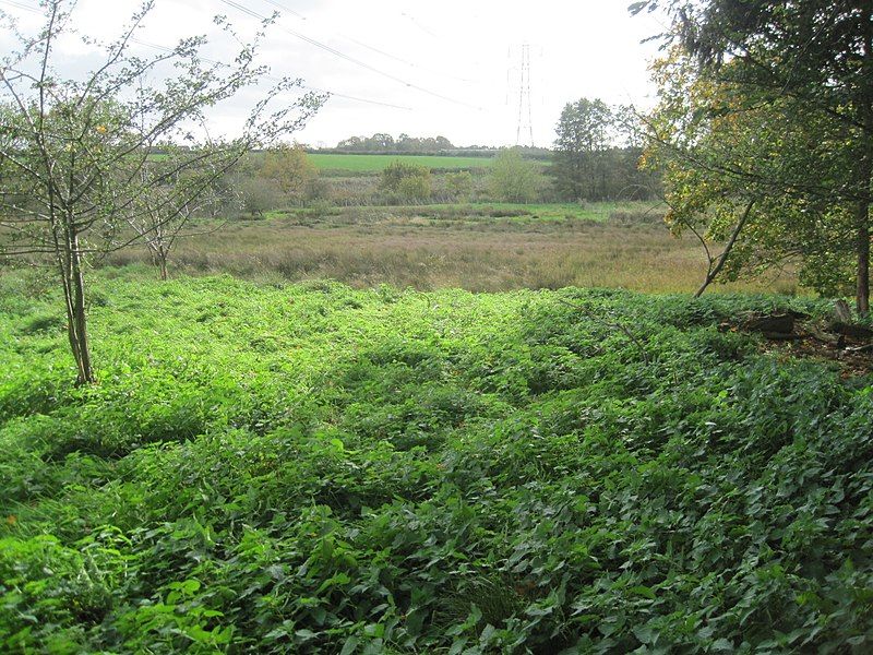 File:Misterton Marshes 7.jpg