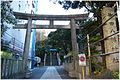 Torii