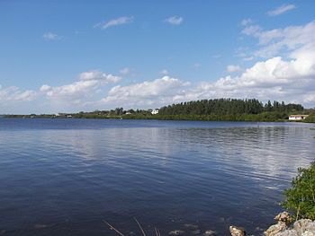 The Myakka River