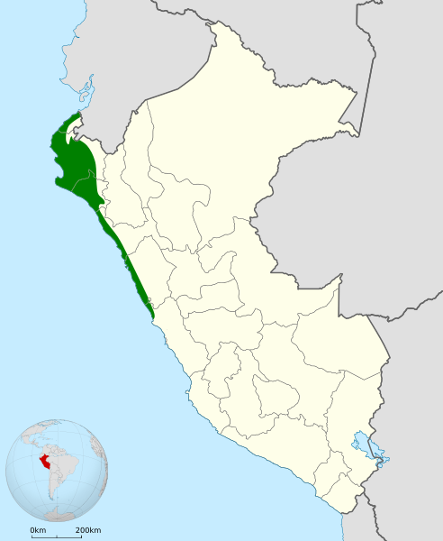 File:Myiarchus semirufus map.svg