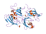 2pbc: FK506-binding protein 2