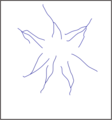 Radial drainage pattern.