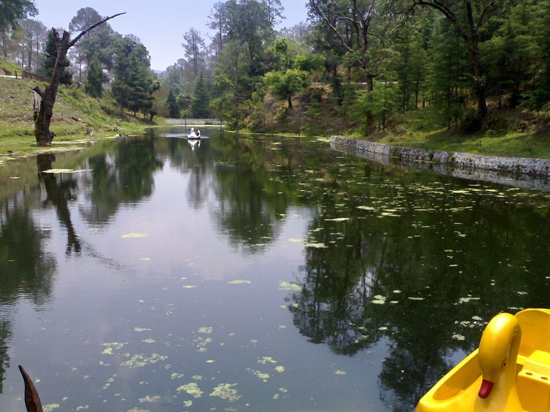 File:Rani Jheel, Ranikhet.jpg