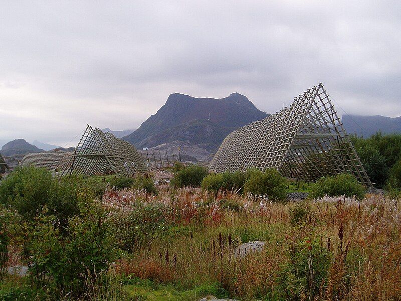 File:Svolvær fish drying.jpg