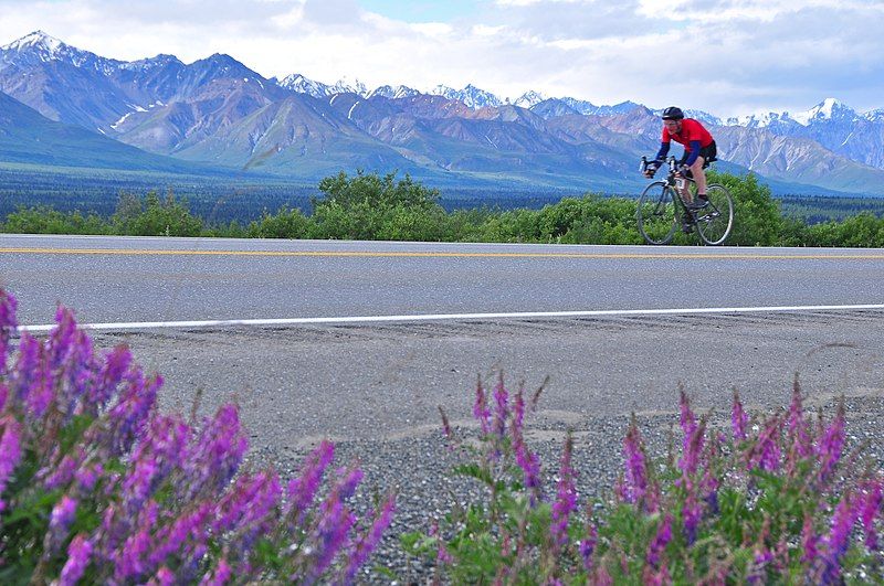 File:The Fireweed 400.jpg