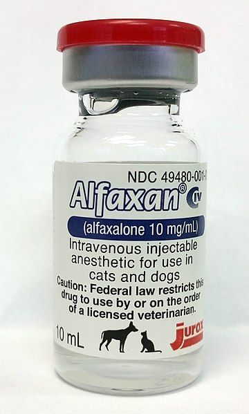 File:Alfaxan bottle.jpg