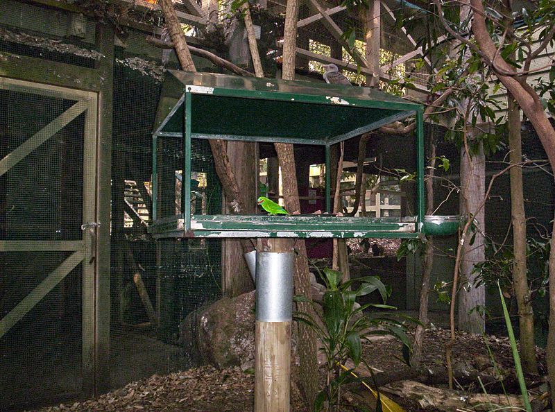 File:Aviary-at-Brisbane-Forest-Park-1.JPG