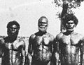 Image 50Men from Bathurst Island, 1939 (from Aboriginal Australians)