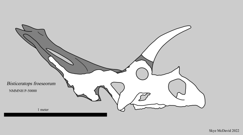 File:Bisticeratops.png