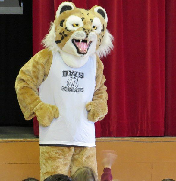 File:Bobcat Rufus.jpg