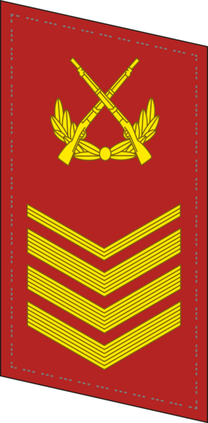 File:CAPF-Collar-0709-1CSGT.png