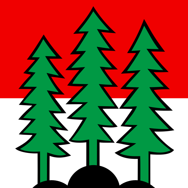 File:CHE Savigny Flag.svg