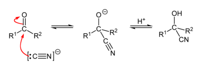 Mechanism of the cyanohydrin reaction