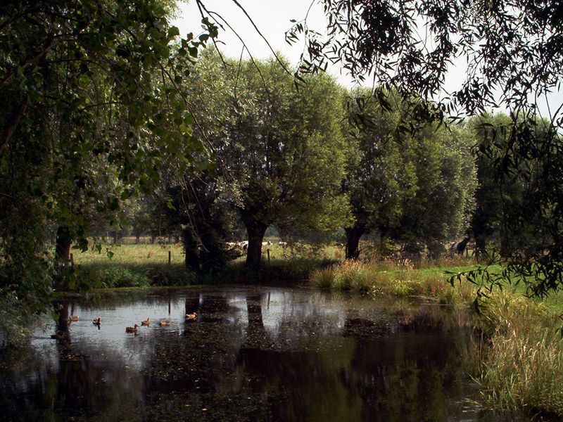 File:Degemeneweidebeek.jpg