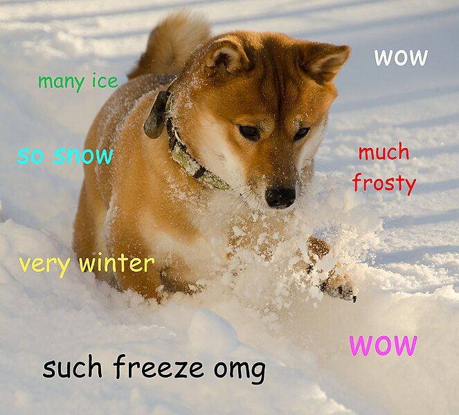 File:Doge meme example.jpg