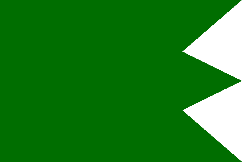 File:Fatimid Flag.svg