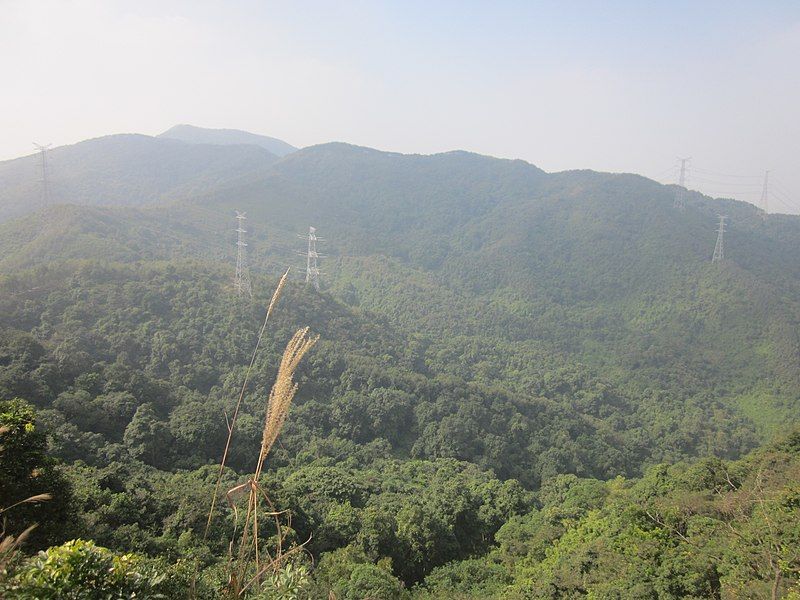 File:Mount Big Yangtai8.jpg