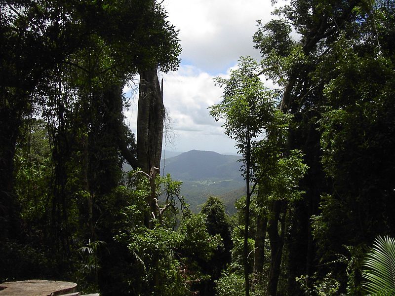 File:Mt warning path.jpg