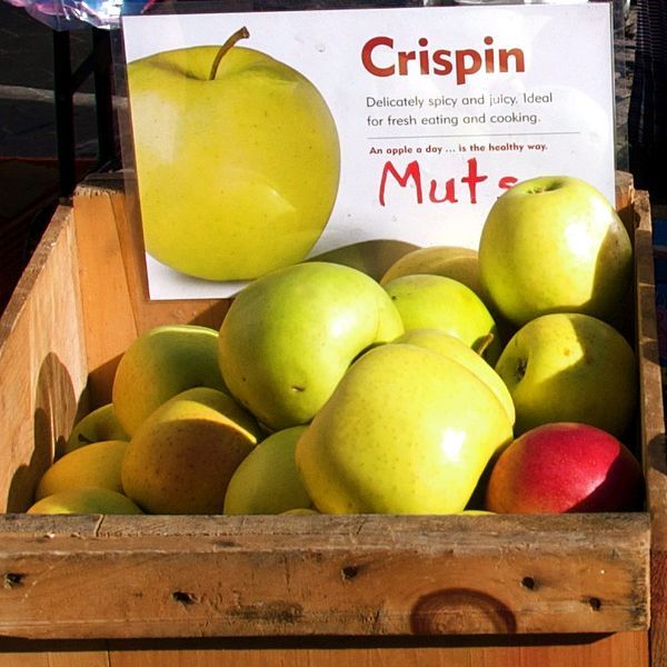 File:Mutsu apple.jpg