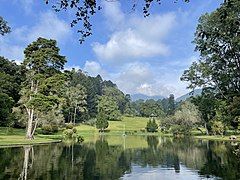 Main Pond at Cibodas Botanical Garden