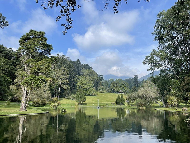 File:Pond Cibodas Botanical.jpg