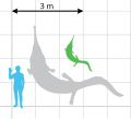 Scale diagram of Prionosuchus plummeri