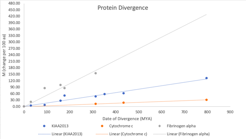 File:Protein Divergence.png