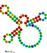 isrK Hfq binding RNA: Predicted secondary structure taken from the Rfam database. Family RF01394.