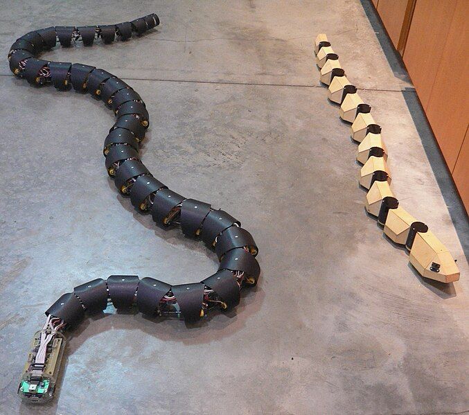 File:Robosnakes.jpg