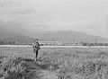 Santa Anita assembly center 1942 with Military police, temporary detention Camp for Japanese Americans