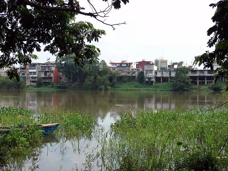 File:Tux Papaloapan river.JPG