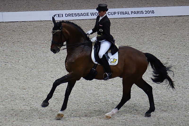 File:2018FEI-WORLD-CUP-DRESSAGE-Belinda-Weinbauer.jpg