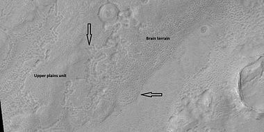 Brain terrain is forming from the breakdown of upper plains unit, as seen by HiRISE under HiWish program. Arrow points to a place where fractures are forming that will turn into brain terrain.