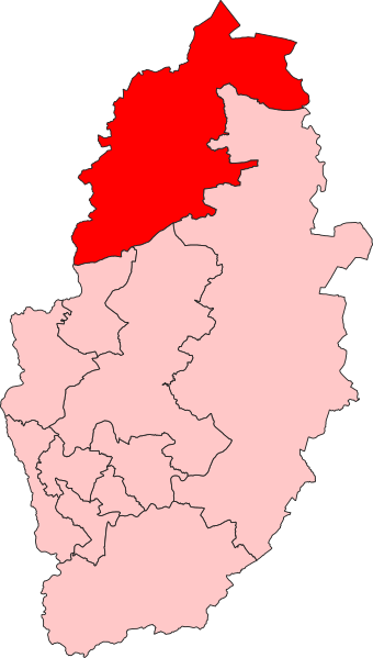 File:Bassetlaw Constituency 2024.svg