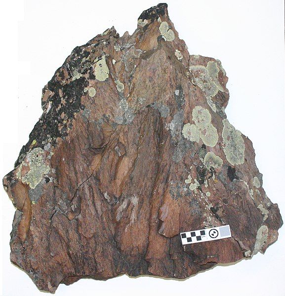 File:Beaverhead shatter cone.jpg